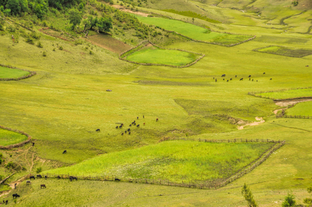 Picturesque aerial view of green fields in Nepalの写真素材