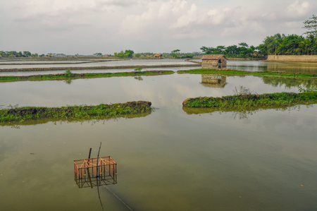 Scenic view of traditional flooded fields in Bangladeshの写真素材