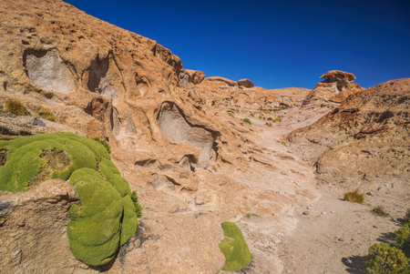 Volcanic rocks near salt planes Salar de Uyuni in bolivian desertの写真素材