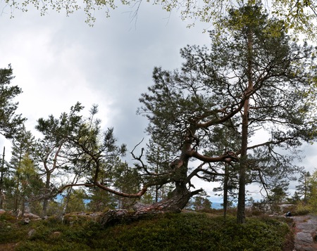 Scenic panorama of rocky landscape in Gygrestolen, Norwayの写真素材