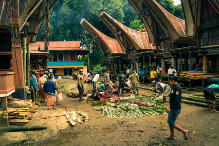 Toraja, Indonesia - June 2015: Photo of people in front of their typical houses in Toraja, Sulawesi region, Indonesia. Documentary editorial.のeditorial素材