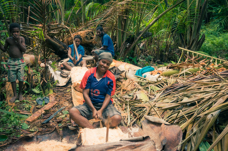 Will-will, Papua New Guinea - July 2015: Native people work with axes and chop trunks of trees in Will-will, Nuku, Papua New Guinea. Documentary editorial.のeditorial素材