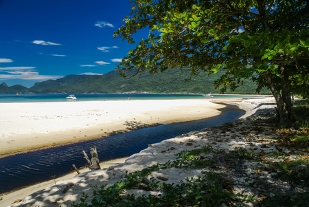 Scenic view of sand beach and sea from shadow of big tree in Ilha Grande in Brasil.の写真素材