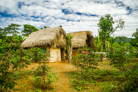Photo of greenery and wooden houses with straw roofs at Villa Alcira in Bolivia, South America.の写真素材