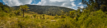 Panoramic photo of field with small house and palms near Mount Wilhelm, Papua New Guinea. This is very remote location, rarely visited by people.の写真素材