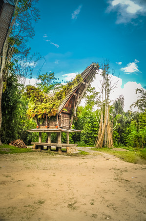 Traditional ancestral house with large saddleback roof covered with ferns standing on four pillars in Sangalla, Toraja region in Sulawesi, Indonesia.のeditorial素材
