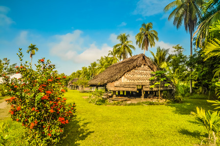 House made of straw and wood surrounded by palms and flowers during sunny weather in Avatip, Sepik river in Papua New Guinea.のeditorial素材