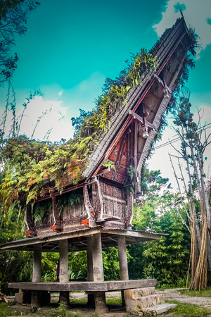 Tongkonan, large ancestral house typical of boat-shaped and saddleback roof in Sangalla, Toraja region in southern Sulawesi, Indonesia.のeditorial素材