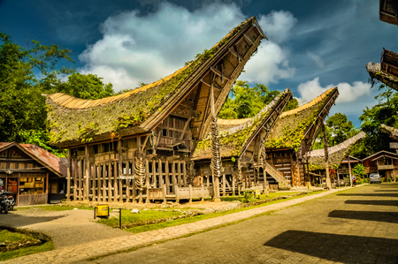 Photo of traditional wooden tongkonans with large saddleback roof covered with plants in Kete Kesu, Toraja region in Sulawesi, Indonesia.のeditorial素材