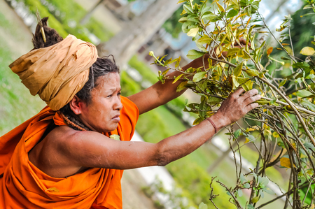 Dibrugarh, Assam - circa March 2012: Native woman in orange clothes and with brown turban on her head touches branches of tree and looks up in Dibrugarh, Assam. Documentary editorial.のeditorial素材