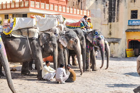 Amer - Jaipur, Rajasthan - circa December 2011: Two men sit on elephants and three men sit near them on ground in Jaipur, Rajasthan. Documentary editorial.のeditorial素材