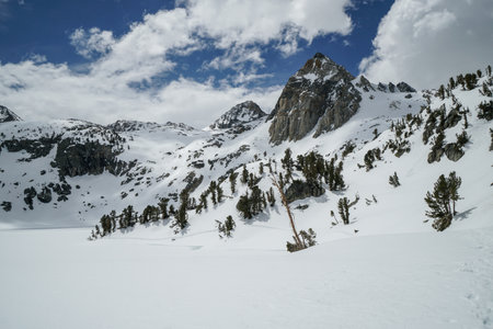 Pacific Crest Trail. A mountain range with snow and trees. The sky is blue and the sun is shiningの写真素材