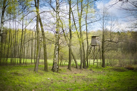 Hunters tree stand in the forestの写真素材