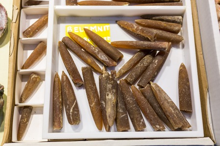 Lodz, Poland - October 20th, 2017: Precious stones and fossils for sale at the annual Intersotne fair in city of Lodz. のeditorial素材