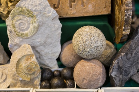 Lodz, Poland - October 20th, 2017: Precious stones and fossils for sale at the annual Intersotne fair in city of Lodz. のeditorial素材