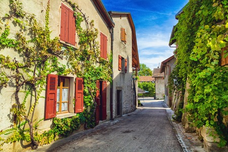 Houses covered in Ivy in medieval french town Yvoireの写真素材