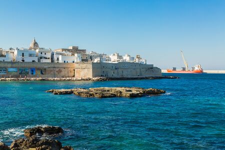 Costline i city of Monopoli in Sauthern Italyのeditorial素材
