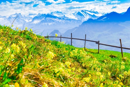 Landscape of beautiful meadow and mountains in Swiss Alpsの写真素材