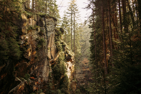 Sun rays in amazing mountain ravine full of pine trees in Polandの写真素材