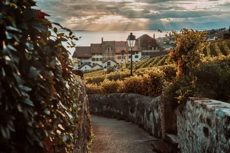 Lavaux, Switzerland: Lake Geneva and traditional swiss hauses during sunset seen from Lavaux vineyard hiking trail in Canton Vaud, Europeの写真素材
