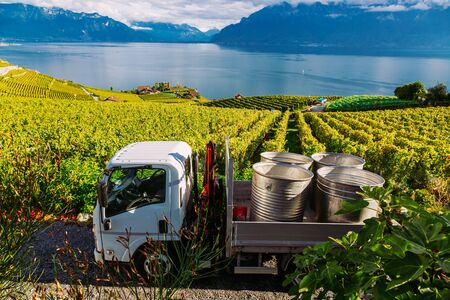 Lavaux, Switzerland: barrels for ripe fruit placed on a car during the grape harvest. Seen from Lavaux vineyard tarraces in Canton of Vaudの写真素材
