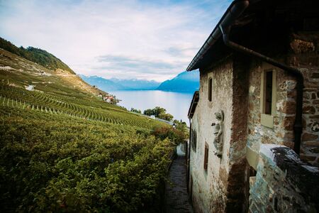 Lavaux, Switzerland: Lake Geneva, green vineyards and old hause on Lavaux vineyard hiking trail in Canton Vaudの写真素材