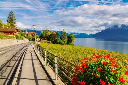 Lavaux, Switzerland: Motorway over the Lake Geneva among Lavaux vineyard tarraces in Canton of Vaud, Europeの写真素材