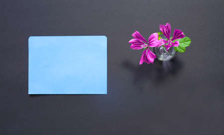 pink flowerの写真素材