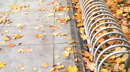 empty bicycles rack among autumn leaves