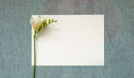 blank invitation or greeting card, card made of painting paper with a delicate beautiful texture,...
