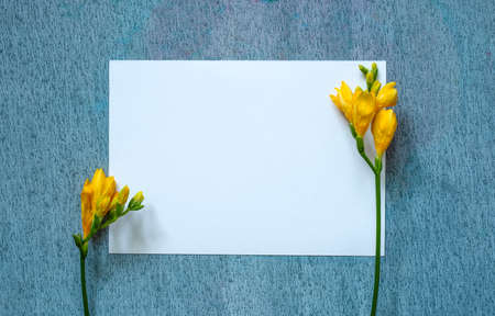 blank invitation or greeting card, painting a paper card with a delicate, beautiful texture,...