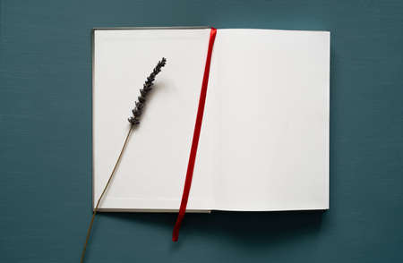 notebook with space for text, red bookmark, lavender decoration, on a painted background, photo from...