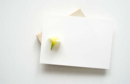 blank white invitation template, rectangle, art canvas texture, soft shadows, decoration with flower, white background, canvas texture, photo taken from aboveの写真素材
