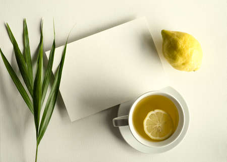 blank white invitation template, rectangle, art canvas texture, soft shadows, lemon and leaf decoration, tea cup, white background, canvas texture, photo taken from aboveの写真素材