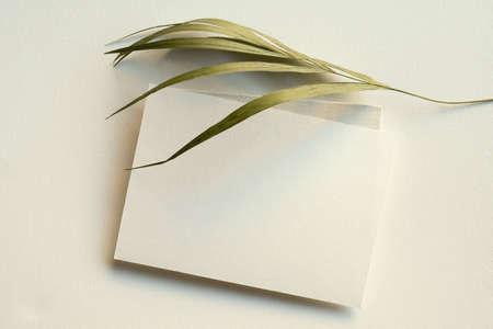 blank white invitation template, rectangle, art canvas texture, soft shadows, floral decoration, white background, canvas texture, photo taken from aboveの写真素材