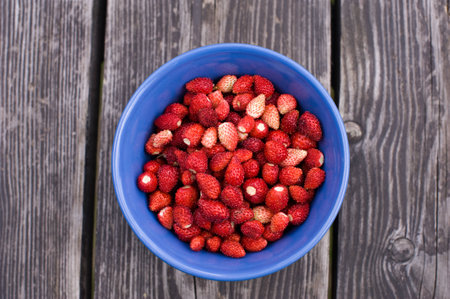 Wild strawberriesの写真素材
