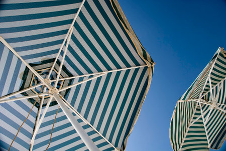 Looking upの写真素材