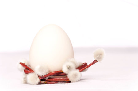 Easter Nestの写真素材