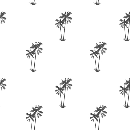 Palm pattern. Exotic Tropical tree. Tropical delightの写真素材