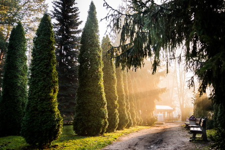 Foggy Autumn Landscape - Forests, Fields and Sunの写真素材