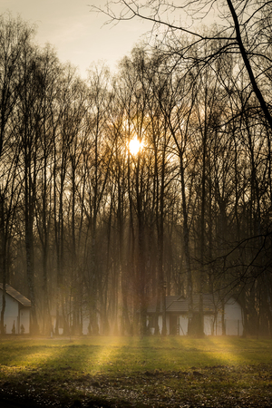 Foggy Autumn Landscape - Forests, Fields and Sunの写真素材
