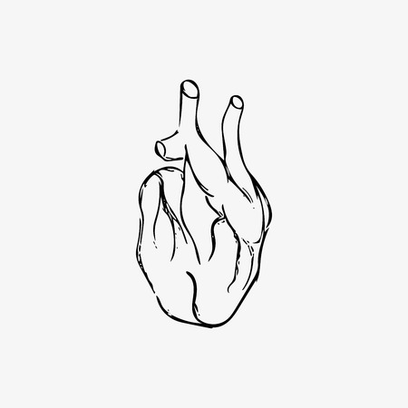 Hand drawing of heart suitable for medical brands and illustrations, eps 10, vector illustration isolated on whiteのイラスト素材
