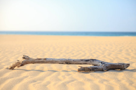 Landscape with beach, the sea and the clouds in the blue sky, Boavista - Cape Verde