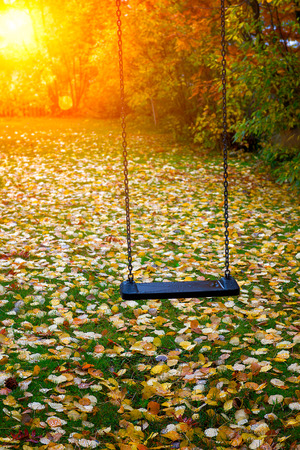 Swing in an autumn forestの写真素材
