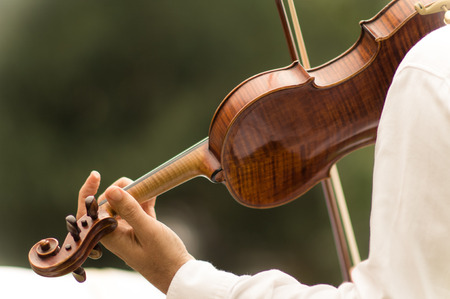 a violinist makes his performance during a weddingの写真素材