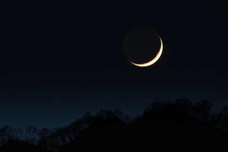 first crescent moon in the wood