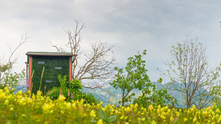 Hut camouflaged hunting in the green in the italian alps