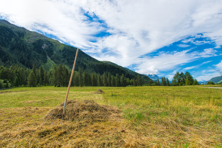 Pitchfork hay left in the meadow in a Swiss pastureの写真素材