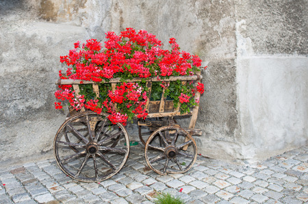 Old cart with red flowers outside an old houseの写真素材