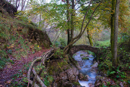 Small ancient bridge of rocks in a creek in the woods in autumnの写真素材